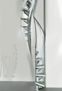 
	<a href="http://forkerxenoluxmesh.cfd/merdiven-modelleri-detay.aspx?ID=96&UrunID=321" style="margin: 0px; padding: 0px; color: rgb(164, 55, 8); text-decoration: none; font-family: Arial, Tahoma, Verdana;"><span style="color:#ffffff;">Konsol Tipi Limon Kiriş Sistemli Merdiven</span></a>
